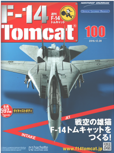 tomcat-100